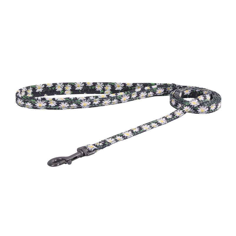 Dogness – Set lesă și ham pentru câini, multicolor