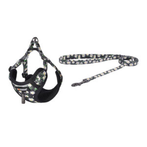 Dogness – Set lesă și ham pentru câini, multicolor