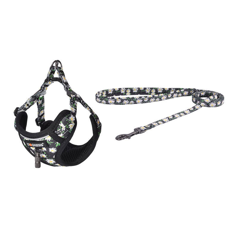 Dogness – Set lesă și ham pentru câini, multicolor