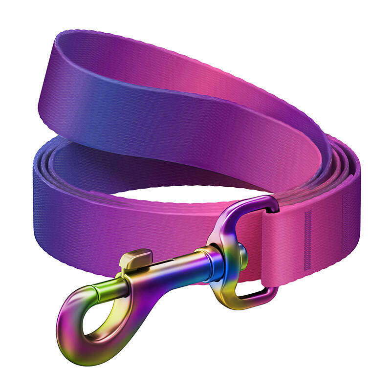 WAUDOG gradient nylon lesă câine, 15mm lățime, 122cm lungime, violet